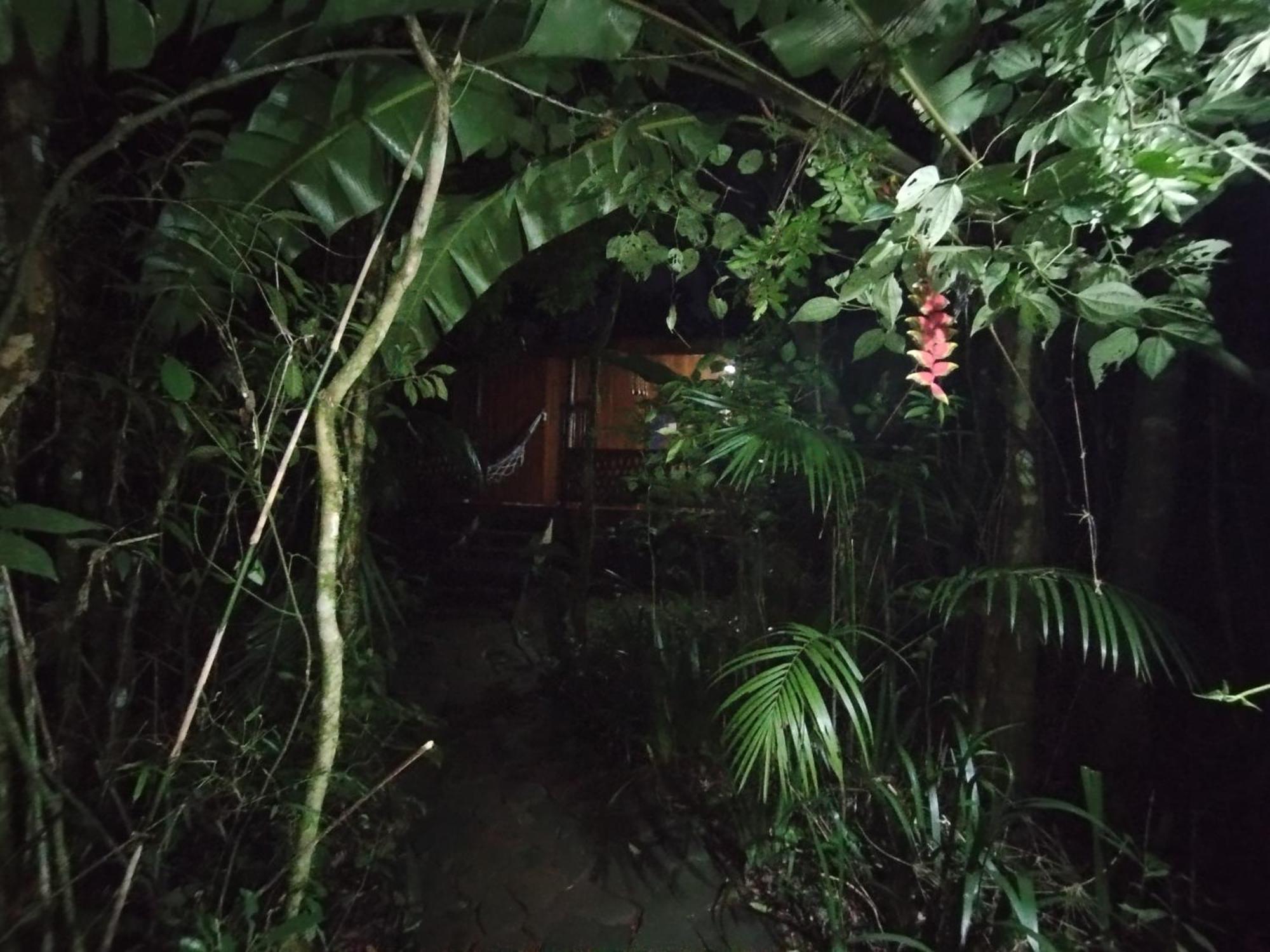 Yasi Yatere Reserva Agroecologica Farm stay