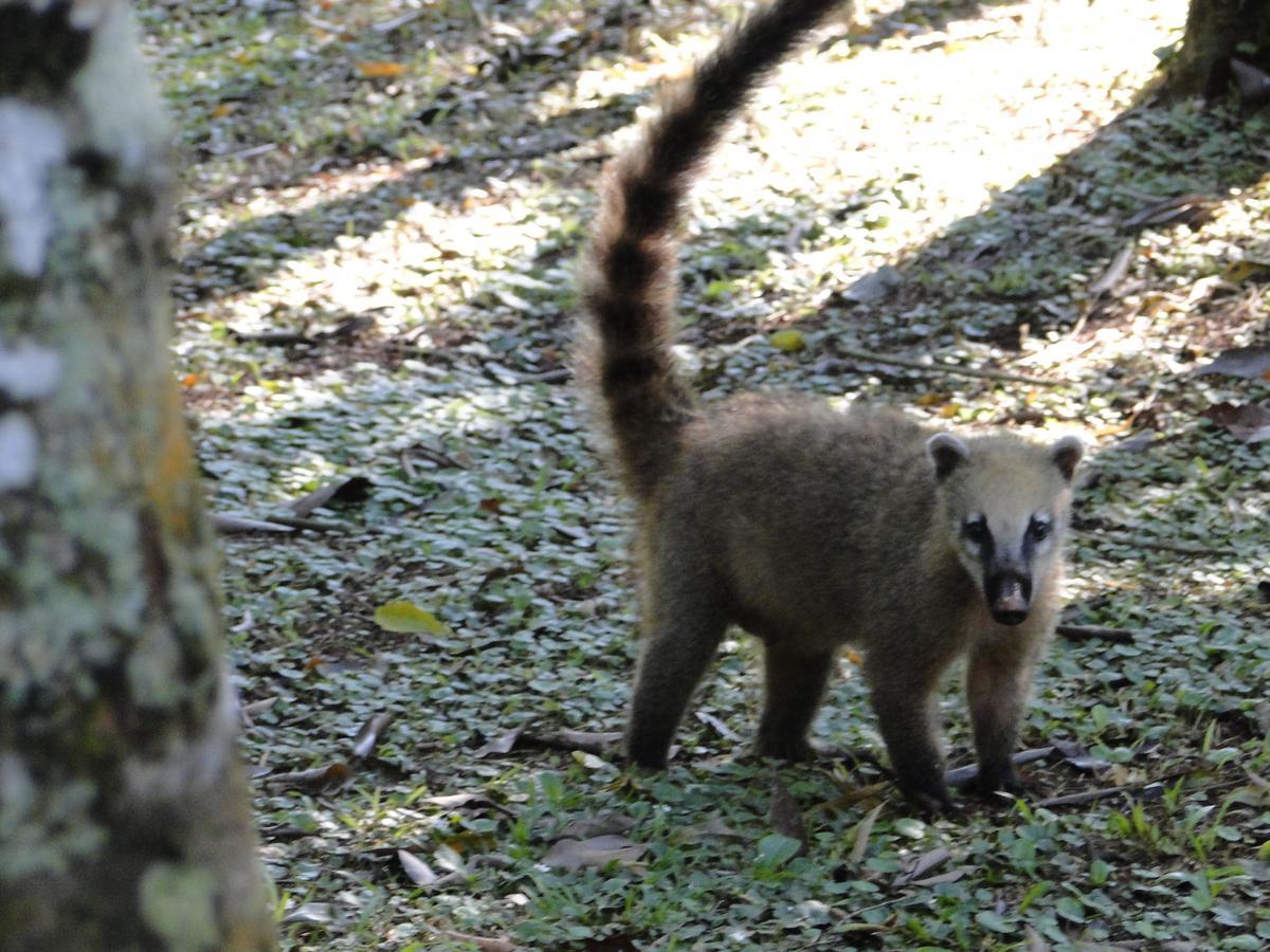 Yasi Yatere Reserva Agroecologica